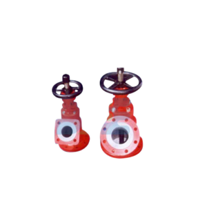 Flush Bottom Tank Valve